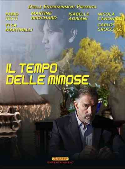 Il tempo delle mimose Poster