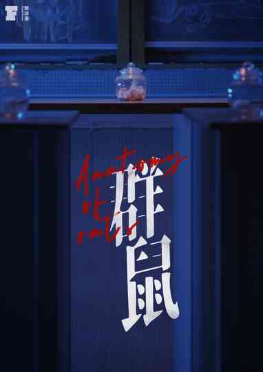 Anatomy of Rats Poster