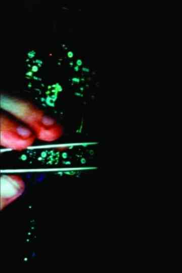 The Sequent of Hanna Ave. Poster