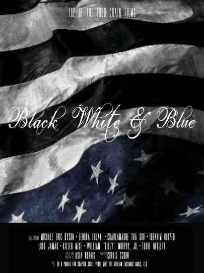 Black, White & Blue Poster