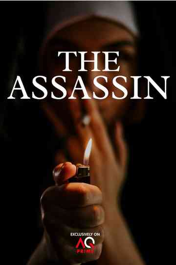 The Assassin Poster