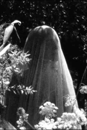 L'île aux robes Poster