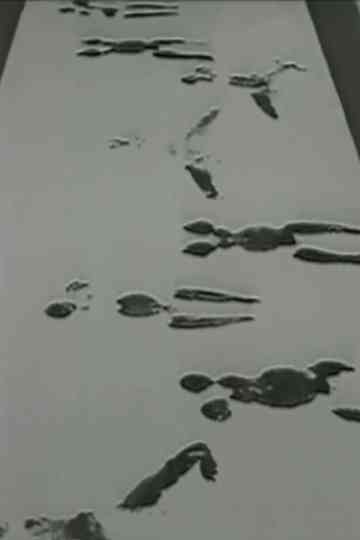 Anthropometries of the Blue Period and Fire Paintings Poster