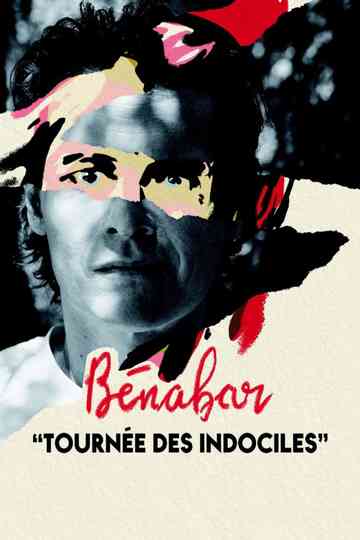 Bénabar - Tournée des indociles Poster