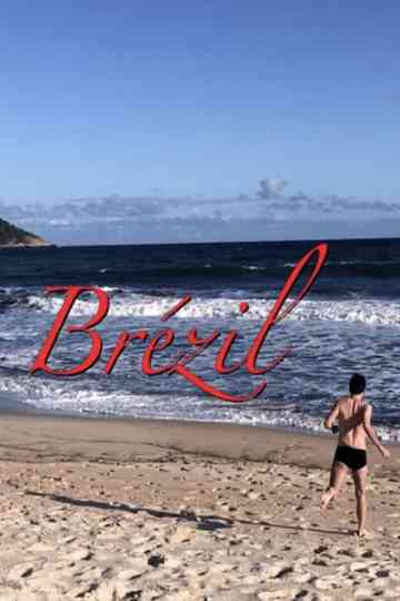 Brézil Poster