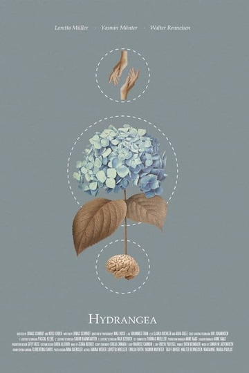 Hydrangea Poster