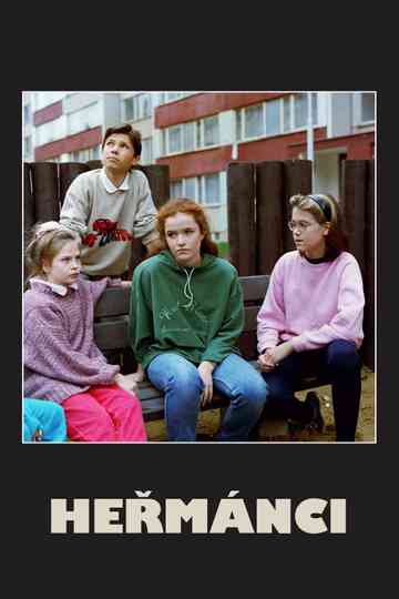 Heřmánci Poster
