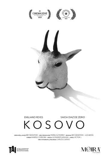 Kosovo Poster