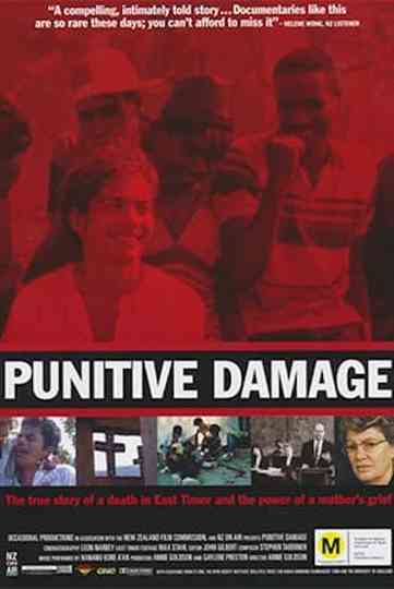 Punitive Damage Poster