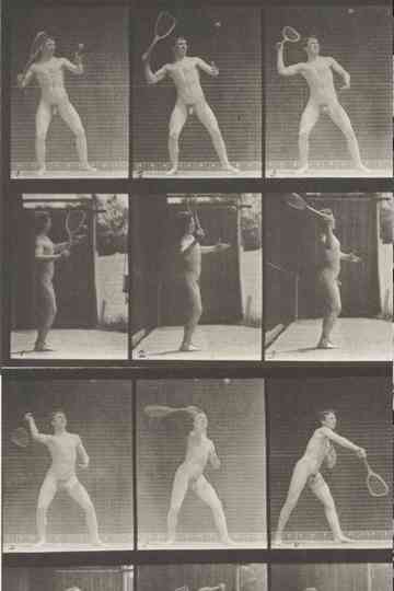 Lawn tennis, serving Poster