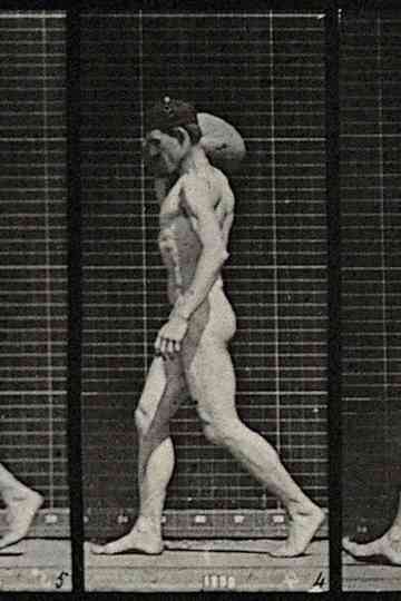 A man bearing load on shoulder Poster