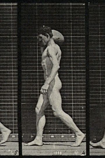 A man bearing load on shoulder