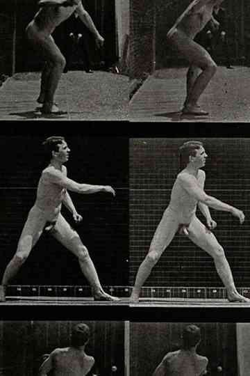 A man throwing a ball. Poster