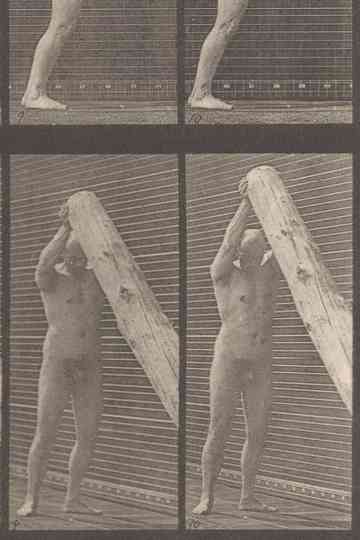 A man lifting a trunk Poster