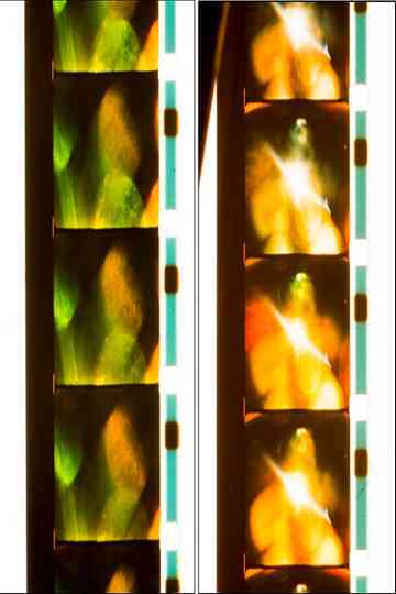 Six Rolls; 14/41/43/36/47/52: Quick Billy Poster