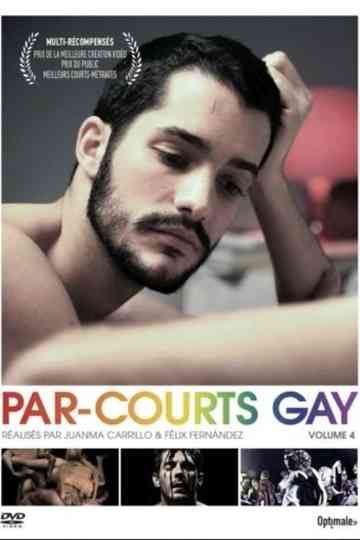 Par-courts Gay, Volume 4 Poster