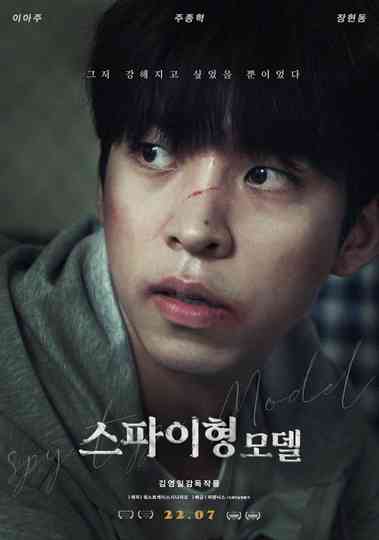 Spy-type Model Poster