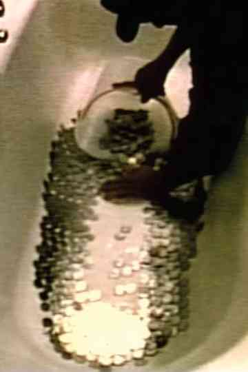 Per una giornata di malumore nazionale Poster