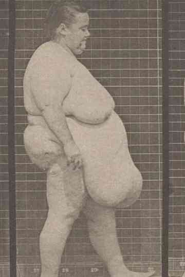 Large woman walking Poster