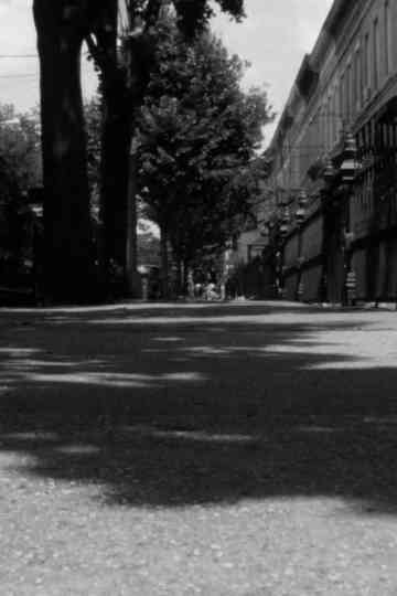 Visit to Bernadette Mayer’s Childhood Home Poster