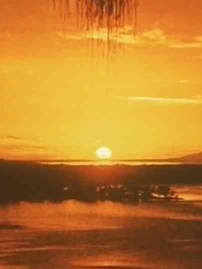 Artificial Paradise Poster