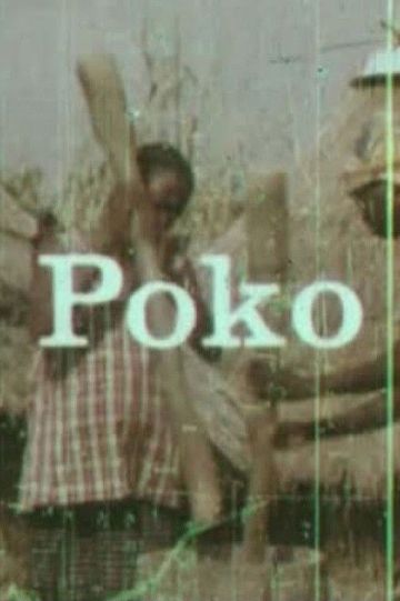 Poko