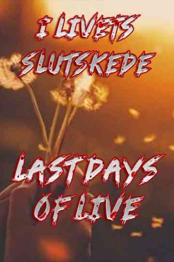 Last Days of Life Poster