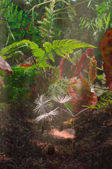 Dandelion's Odyssey Poster